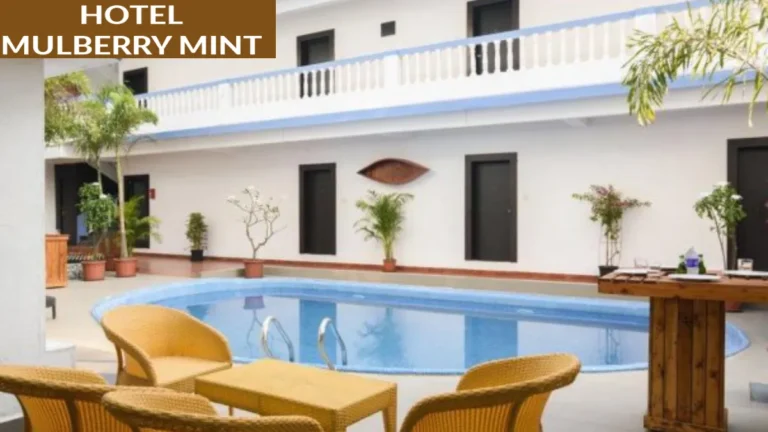 Hotel Mulberry Mint Calangute (4)